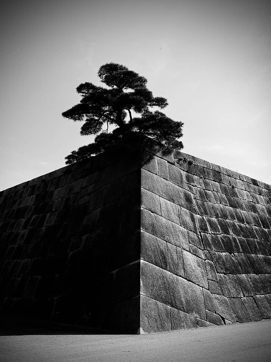 The Imperial Palace, Japan