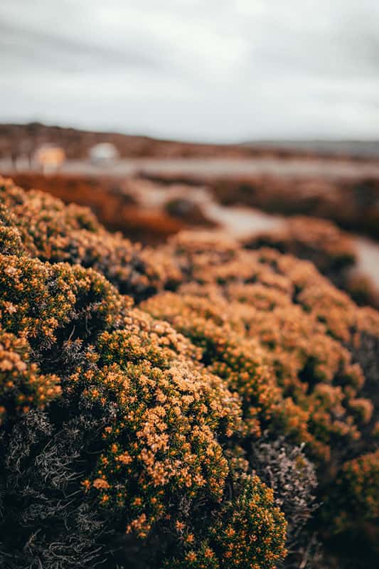 Hobart