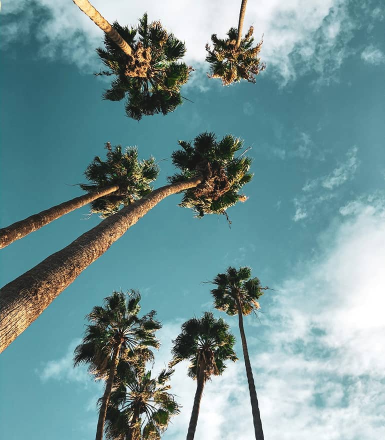 San Diego